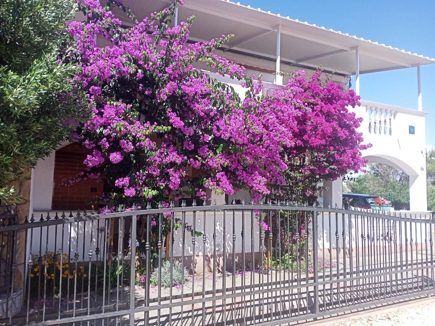 Apartments Marijan Drage Esterno foto